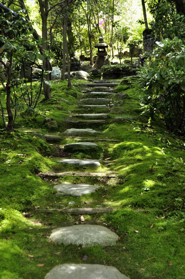 日本庭園