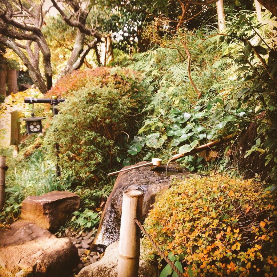 日本庭園