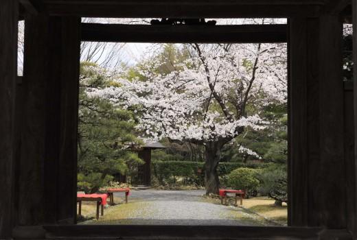 日本庭園