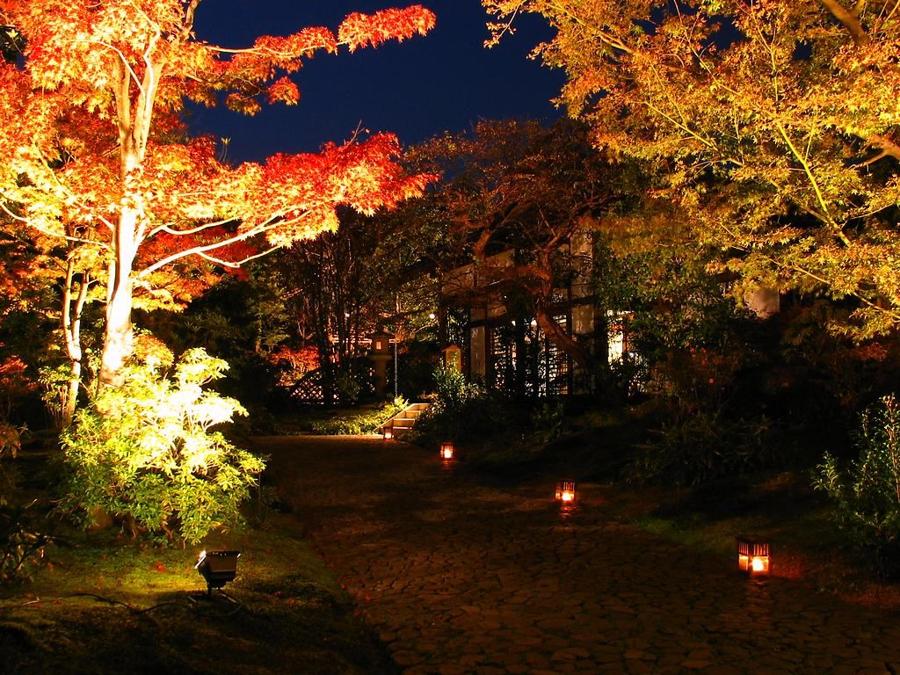 日本庭園