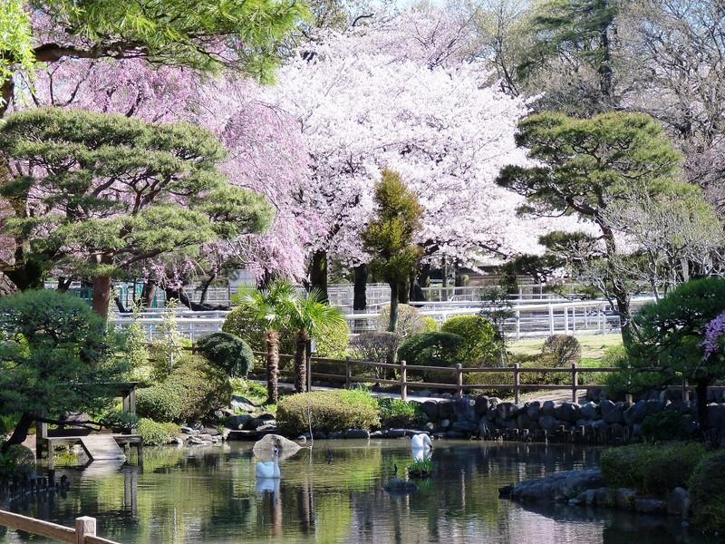 日本庭園