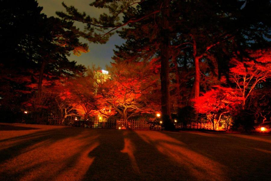 日本庭園