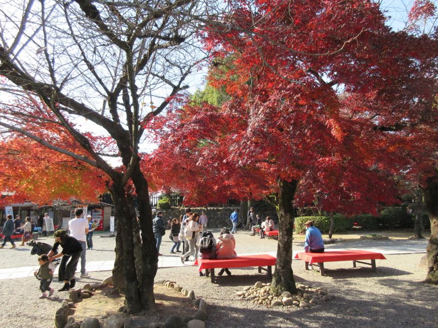 日本庭園