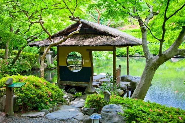 日本庭園