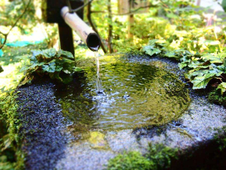 日本庭園