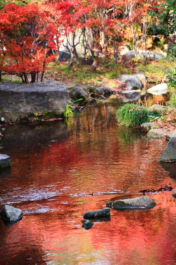 日本庭園