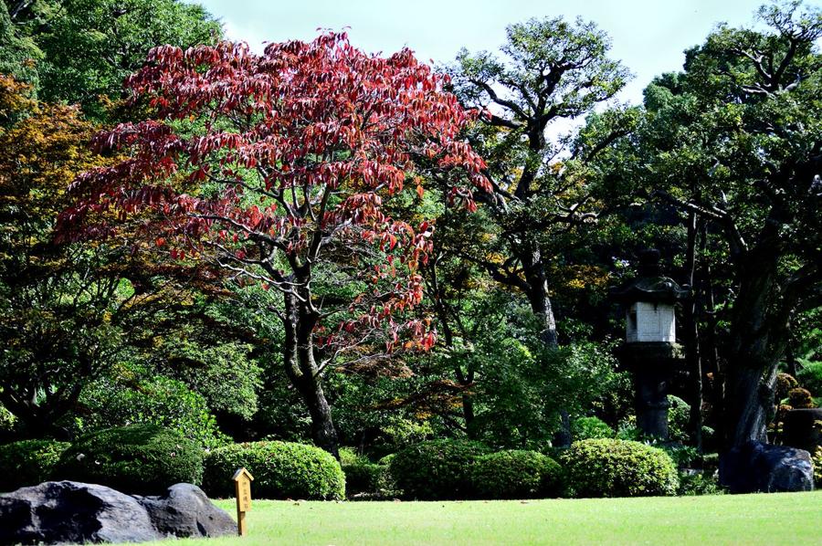 日本庭園