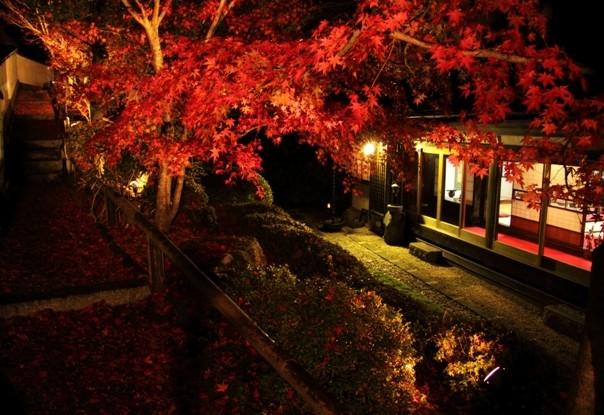 日本庭園