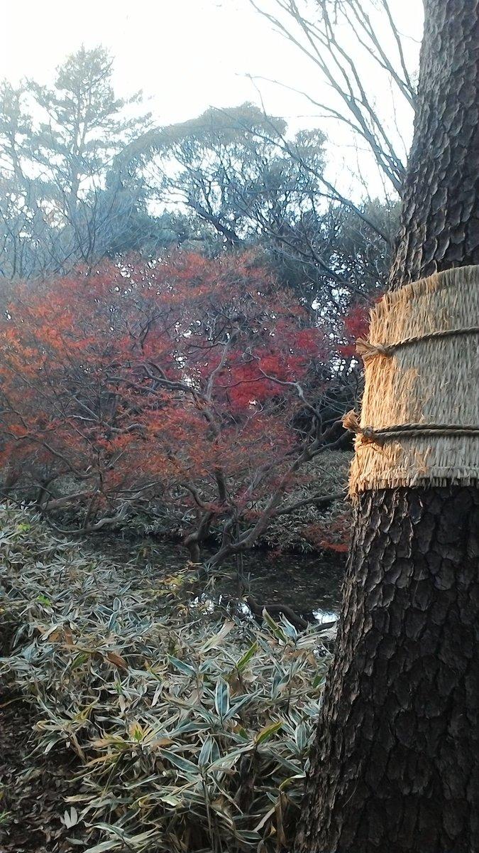 日本庭園