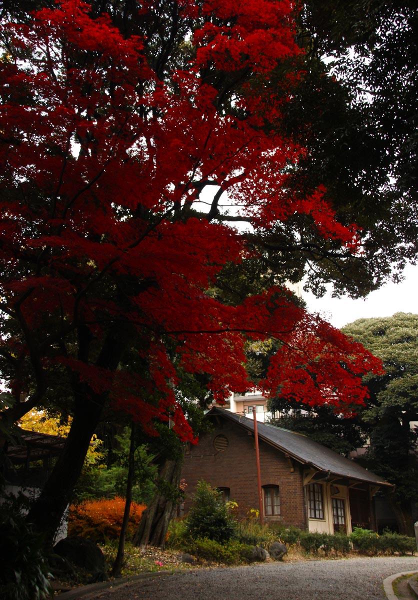 日本庭園