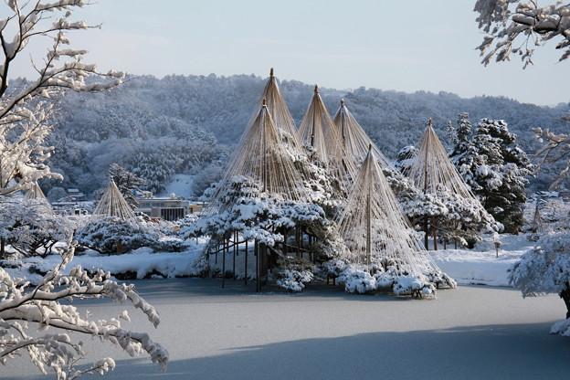 日本庭園