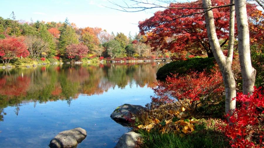 日本庭園