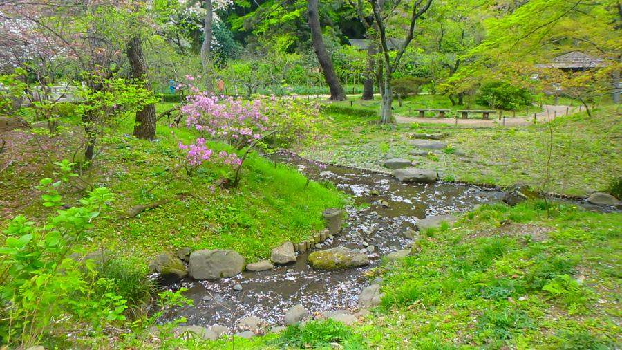 日本庭園