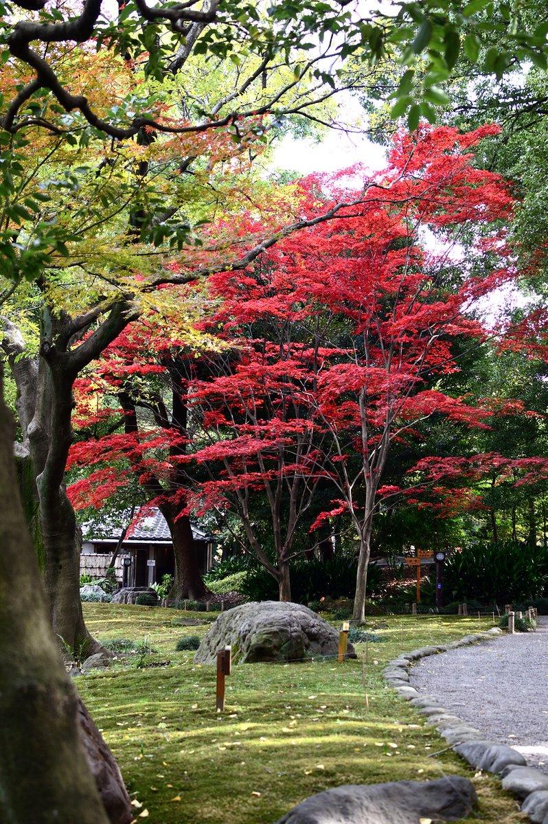 日本庭園