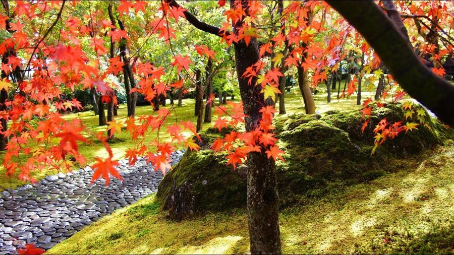 日本庭園