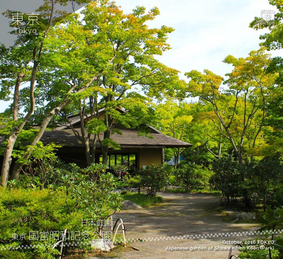 日本庭園