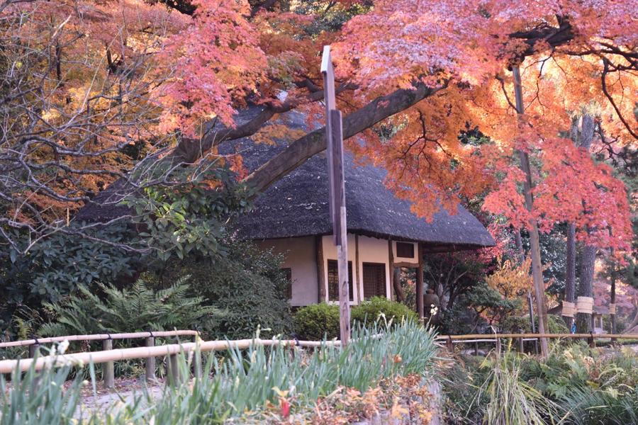日本庭園