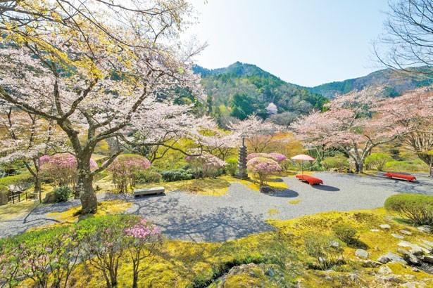 日本庭園