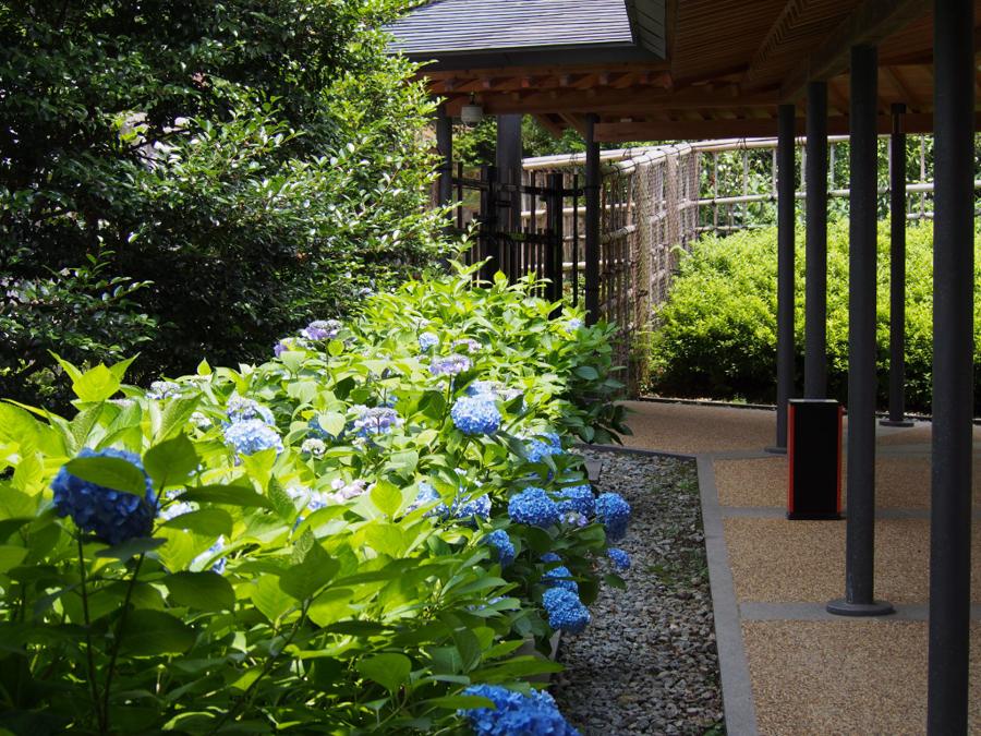 日本庭園