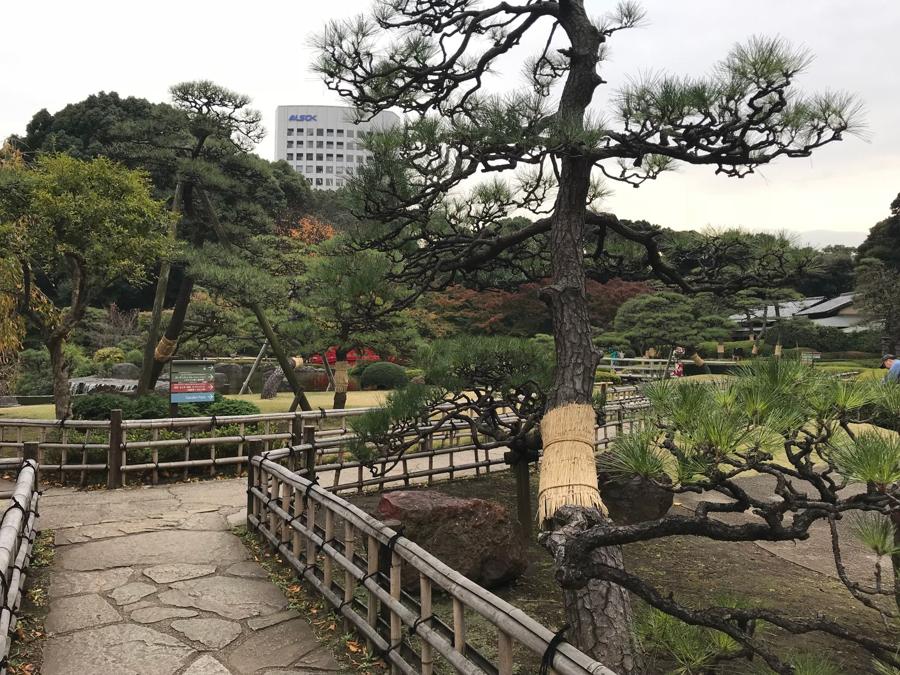 日本庭園