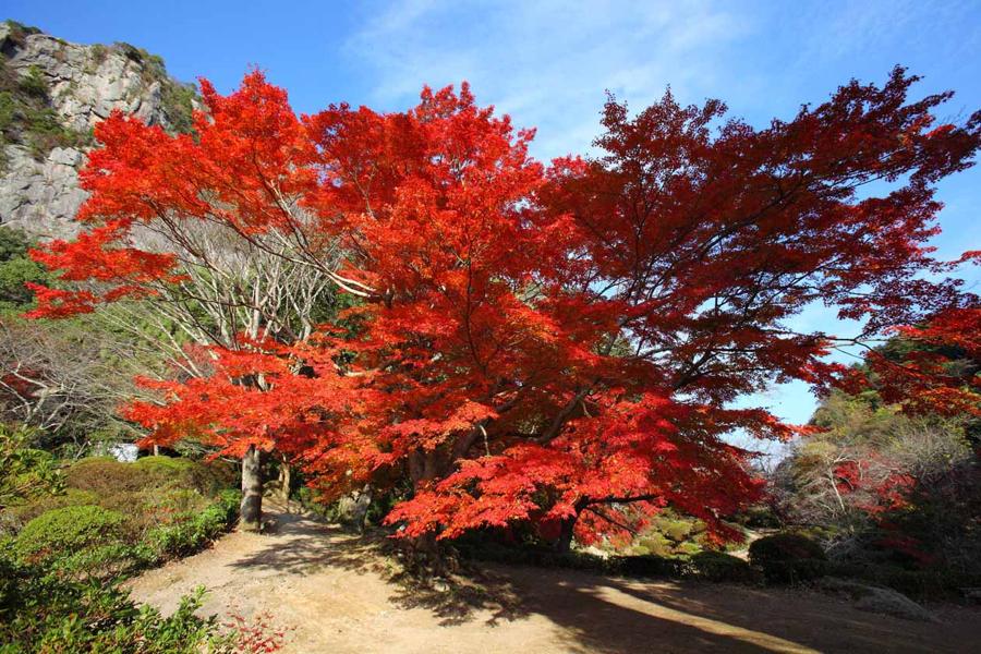日本庭園