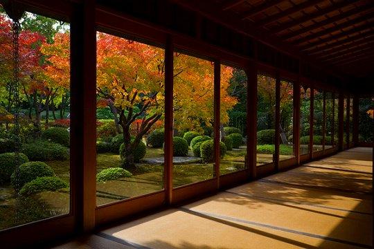 日本庭園