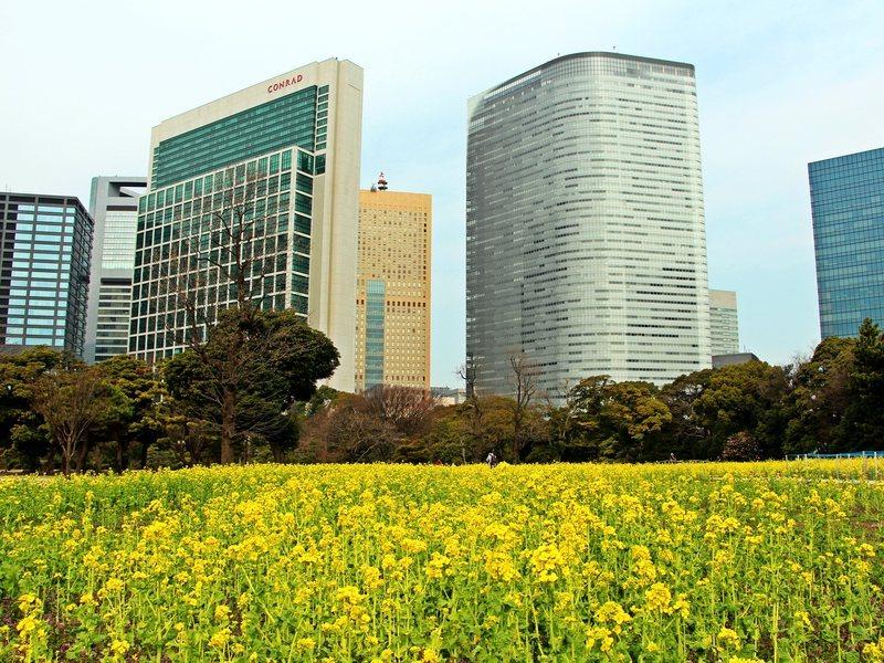 日本庭園