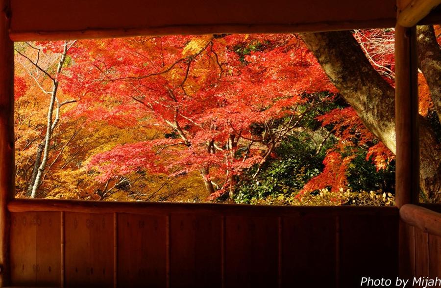 日本庭園