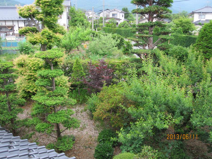 日本庭園