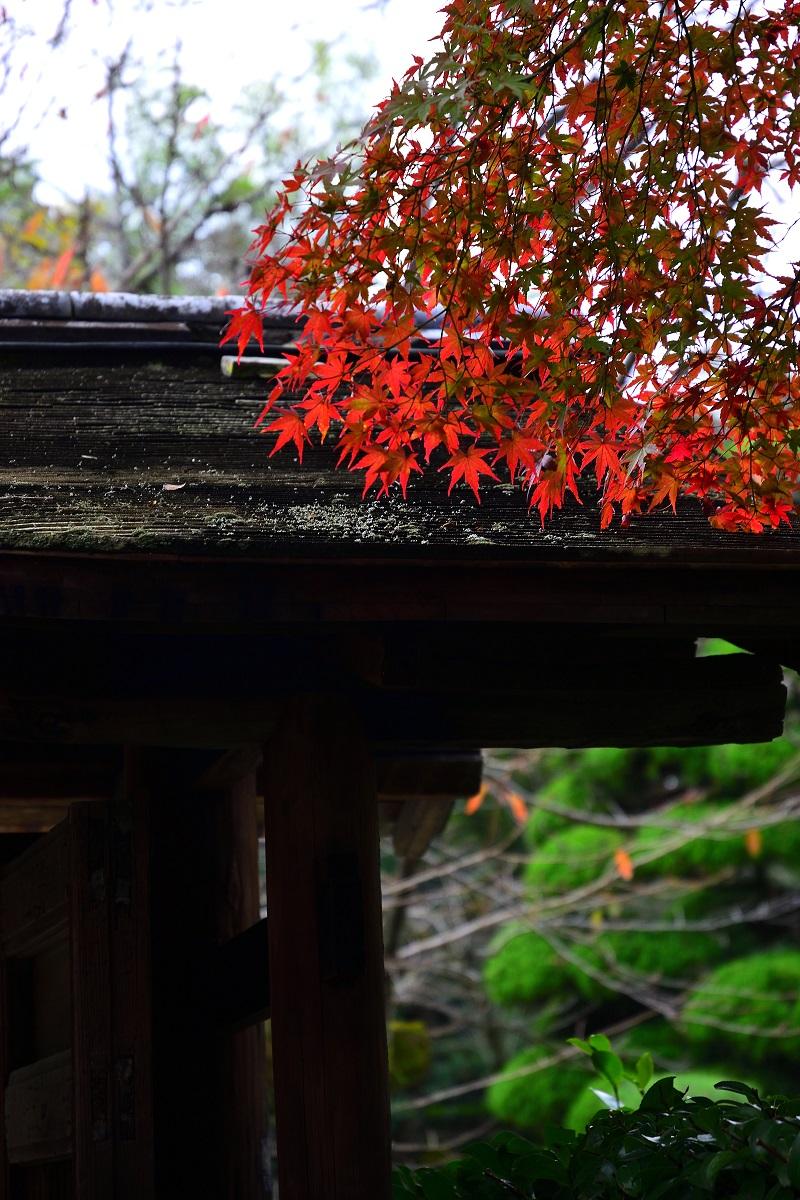 日本庭園