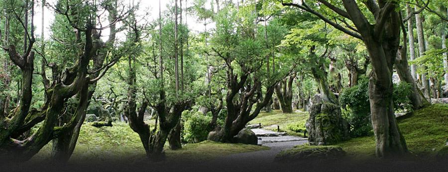 日本庭園