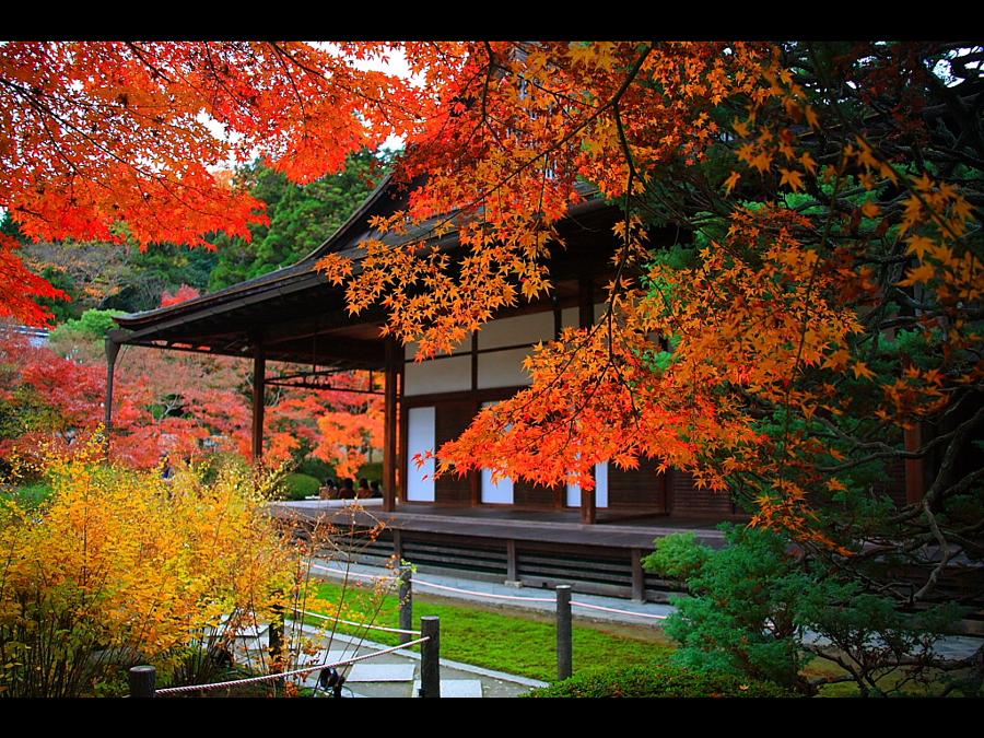 日本庭園