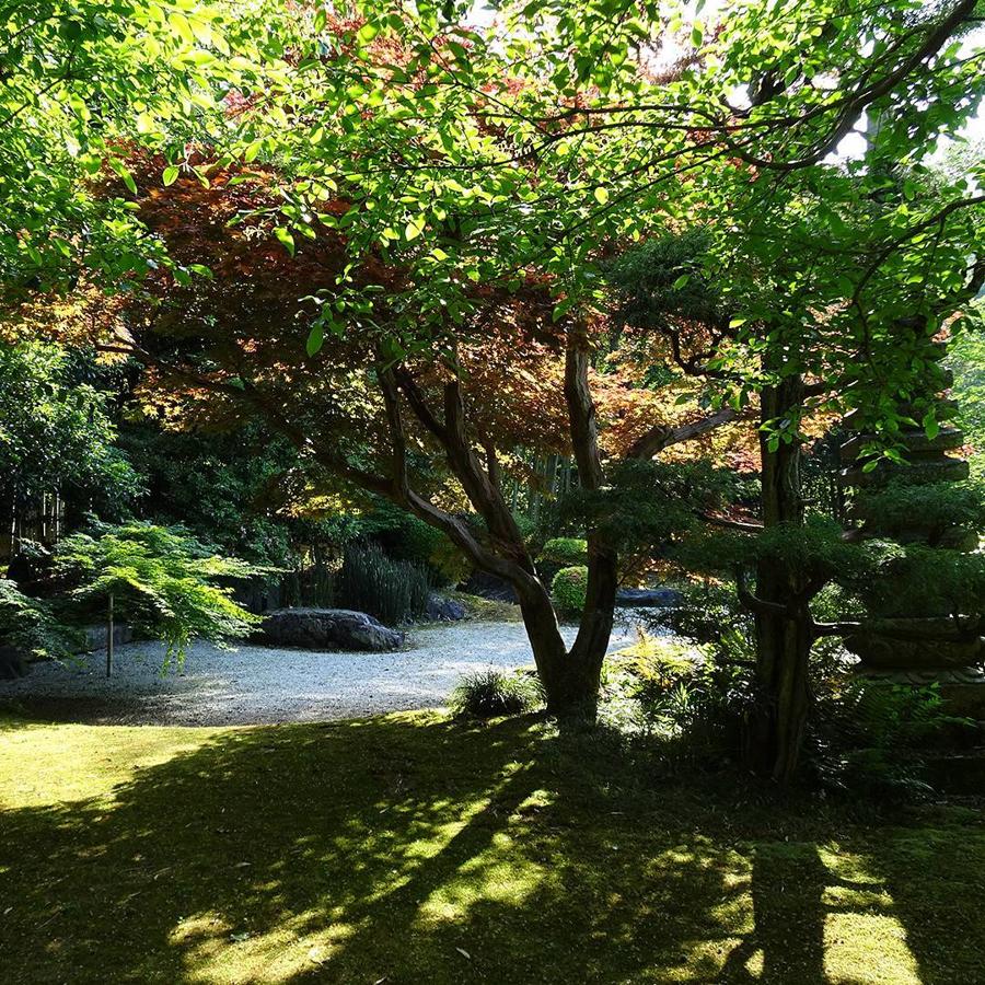 日本庭園