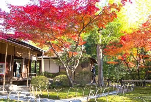 日本庭園