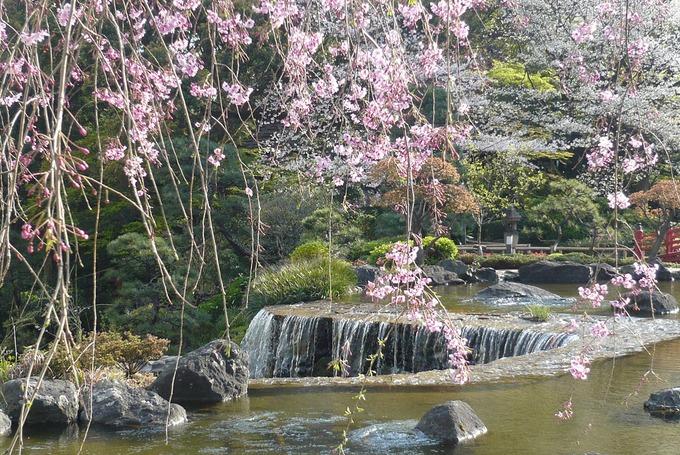 日本庭園