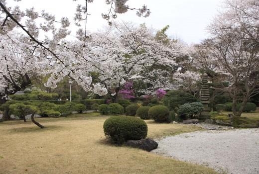 日本庭園