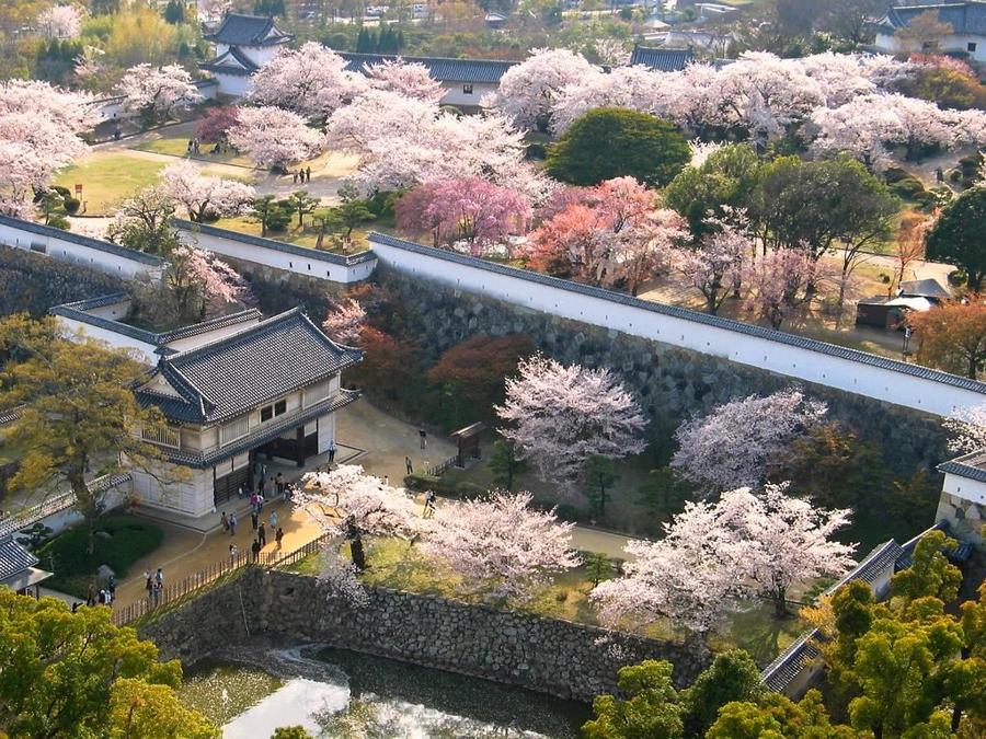 日本庭園