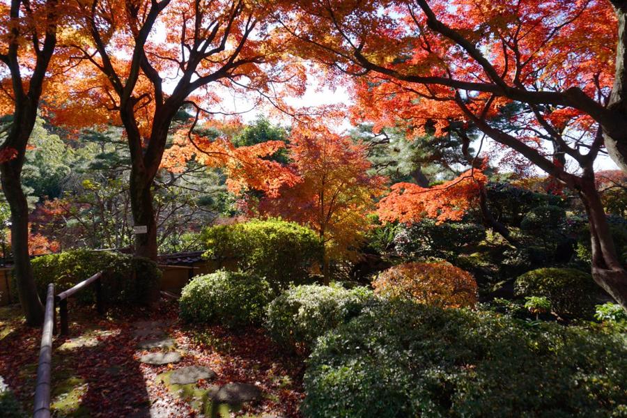 日本庭園