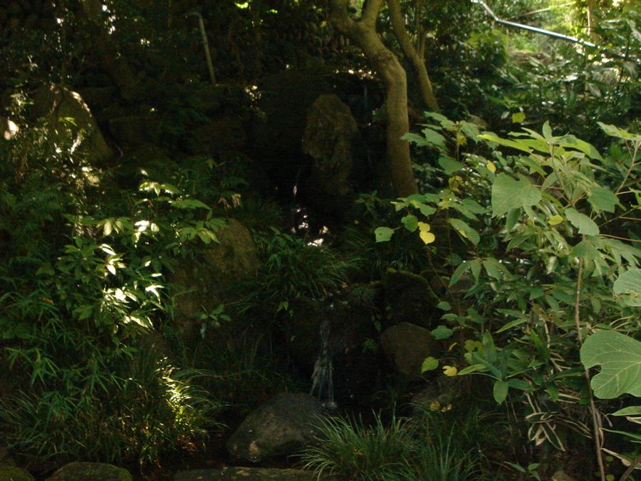 日本庭園