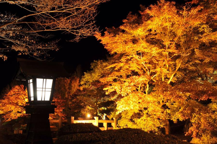 日本庭園