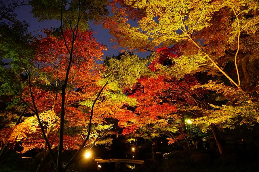 日本庭園
