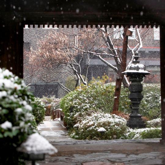 日本庭園